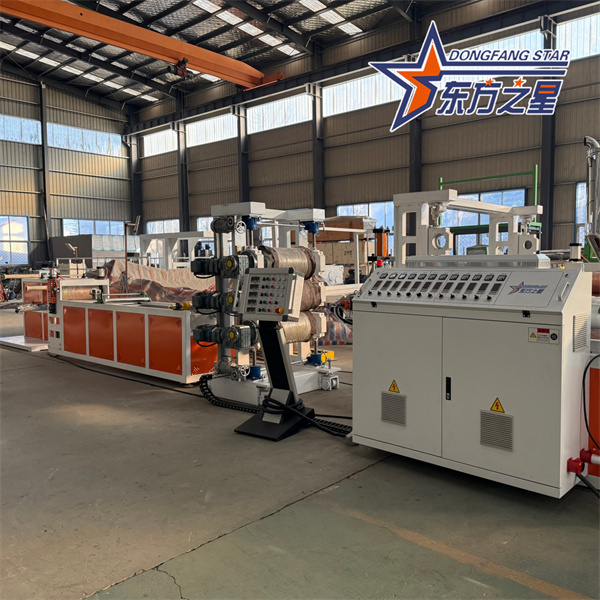 Extrusoras de láminas biodegradables de PLA populares en 2026